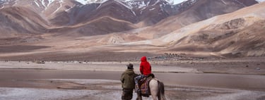 Ladakh Holidays by Soma Journeys