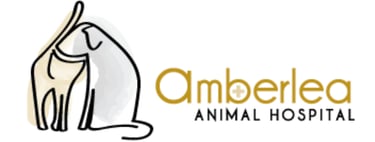 Link to Amberlea Animal Hospital