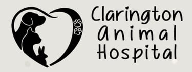 Link to Clarington Animal Hospital 
