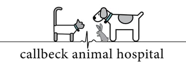 Link to Callbeck Animal Hopsital