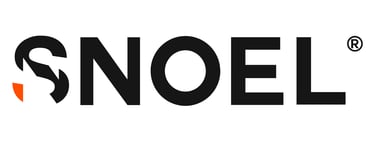 SNOEL SICHERHEITSDIENST