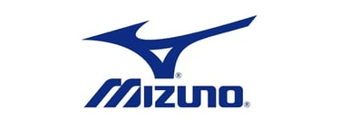 Mizuno Acesso Autorizado