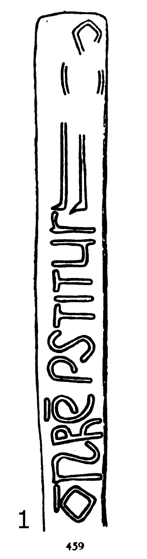 Tawna Runestone 459 - Cardynham Parish, Cornwall