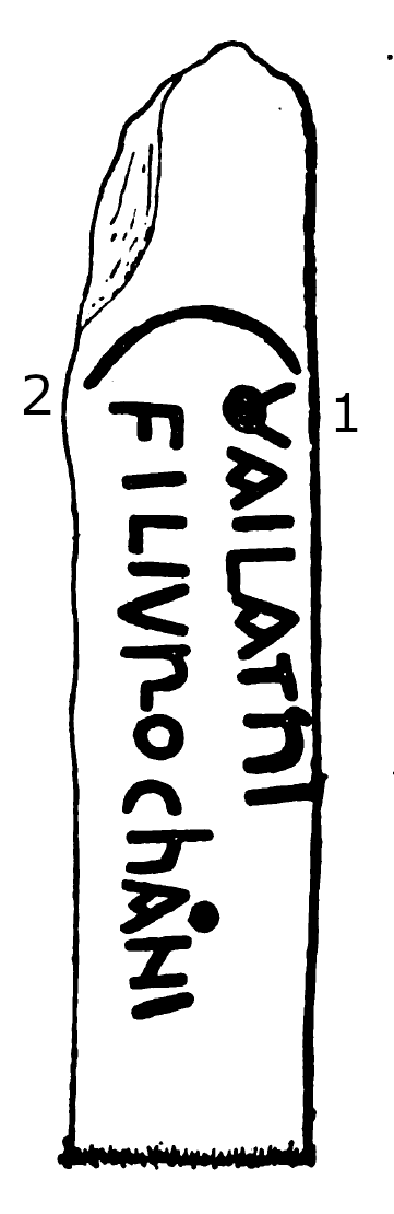 Welltown Runestone 460 - Cardynham Parish, Cornwall