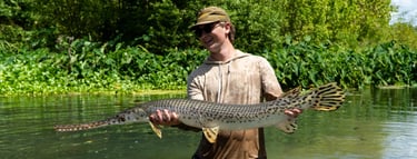Longnose Gar