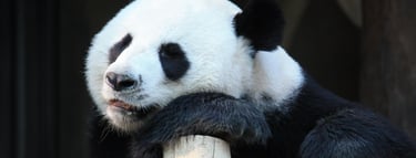 China well know history Geography Humanities Economy Top of China