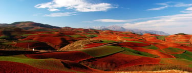 China well know history Geography Humanities Economy Top of China