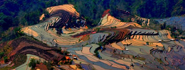 China well know history Geography Humanities Economy Top of China