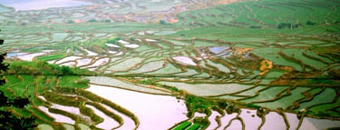 China well know history Geography Humanities Economy Top of China