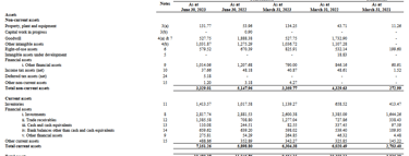 assets_balance sheet_mamaearth ipo analysis_the moat investor