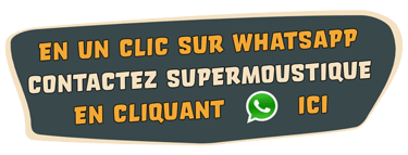 Bouton “Contactez-nous sur WhatsApp” SuperMoustique