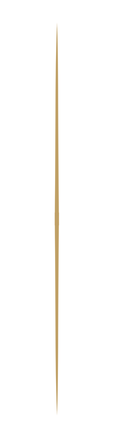 Single thin golden vertical line on a solid black background.
