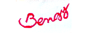 logo bengy