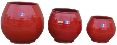 Pot de fleurs rouges cerise