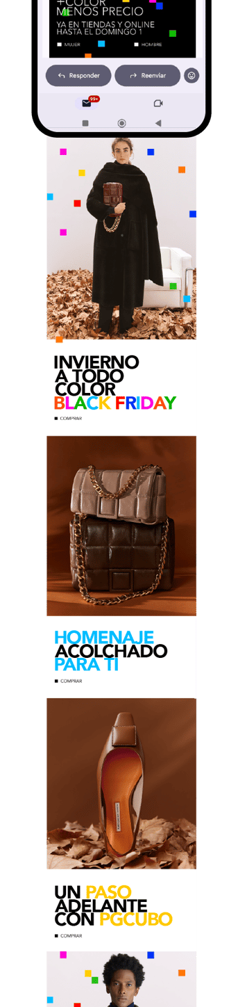 Newsletter Segundo Corte