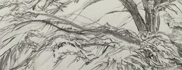 Dumfries House Study 2