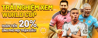 Lợi nhuận VIP tại VN500: tích lũy thưởng dài hạn, đặc quyền rút tiền nhanh, dịch vụ chăm sóc riêng.