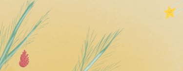 etoile filante venue du pole nord !