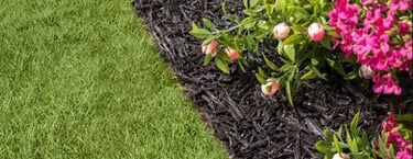 mulch installation and delivery