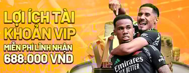 Lợi ích tài khoản VIP tại VN500: quyền lợi độc quyền, miễn phí lĩnh nhận 688.000 VND, trải nghiệm ca