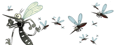 Désinsectisation efficace contre les moustiques tigres