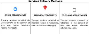 Services Delivery Methods at Reflective Practices & Supervision