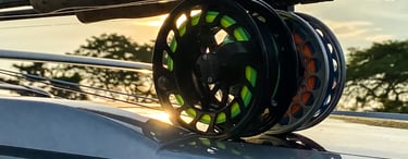 Fly fishing rods for striped bass