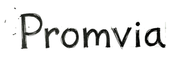 promvia ai indian prompts logo