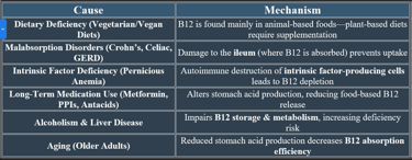 Cobalamin-causes of deficiencies