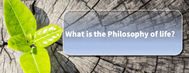 What is the Philosophy of life