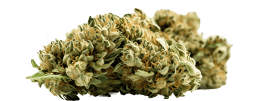 Cannabis flower