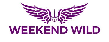 Caravan Outdoor Camping  Kindness Brand