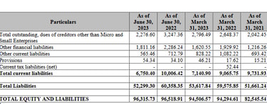 liabilities 2 balance sheet_jsw infra ipo analysis_the moat investor