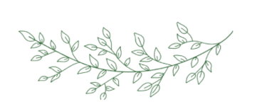 a branch of a plant with leaves on it