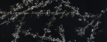 PLANCHA DE CUARZO NEGRO CON VETAS BLANCAS