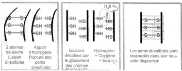 chimie lissage japonais