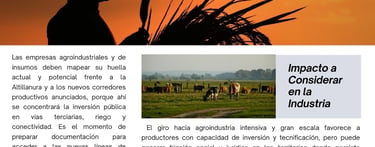 amazonic agricultura