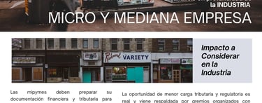 amazonic micro mediana pyme empresa