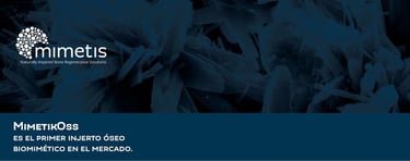 MimetikOss Keylife. Sustituto óseo biomimético