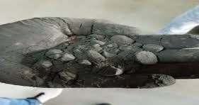 sơn tĩnh điện bị vón cục