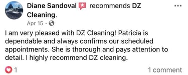 review cleaning services general clean