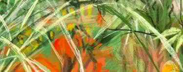 Front porch pots Great Dixter - digital drawing