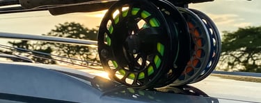 Fly fishing rods for striped bass