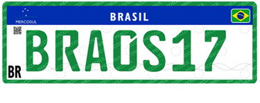 Placa Especial - Veículo Especial, Experiência e Fabricante