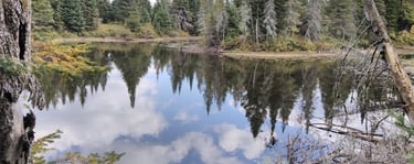 A large wetland in Haliburton, evaluated by Aster Environmental during a Site Evaluation Report.