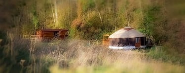 paysage verdoyant d'herbes et d'arbres, accès à la rubrique Camping des Alchimistes en Herbes