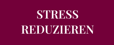 Möchtest du Strategien für STRESS REDUZIEREN entwickeln und mehr im Moment leben?