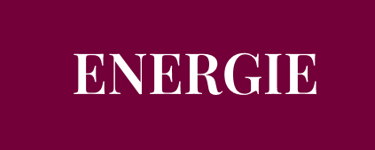 Möchtest du mehr ENERGIE haben und dich weniger erschöpft fühlen?