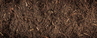 organic soil