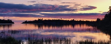 A marshy shoreline area that may be reviewed as part of a Natural Heritage Evaluation.